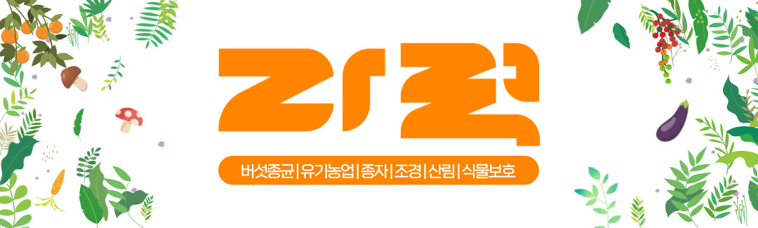 카페 이미지